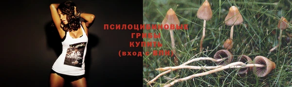 амф Балабаново