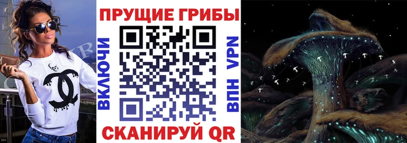 Галлюциногенные грибы MAGIC MUSHROOMS  Суворов 